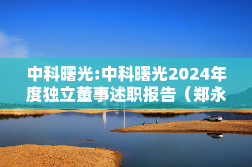 中科曙光:中科曙光2024年度独立董事述职报告（郑永琴）