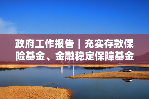 政府工作报告｜充实存款保险基金、金融稳定保障基金等化险资源，有效维护金融安全稳定