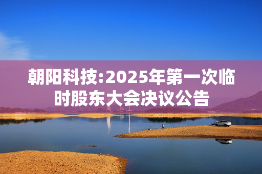 朝阳科技:2025年第一次临时股东大会决议公告