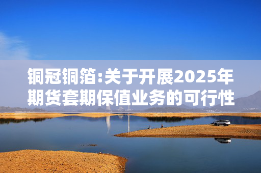 铜冠铜箔:关于开展2025年期货套期保值业务的可行性分析报告