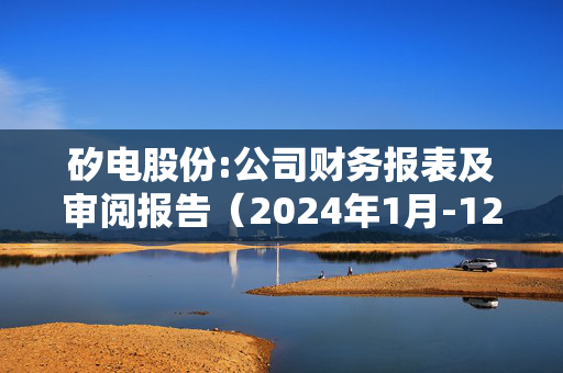 矽电股份:公司财务报表及审阅报告（2024年1月-12月）