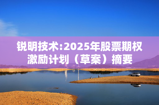 锐明技术:2025年股票期权激励计划（草案）摘要