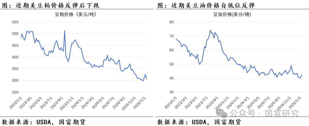 【USDA】1月报告：美豆单产下调超预期，南美大豆丰产压制美豆价格上行