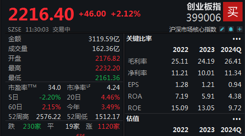 “宁王”率锂电反弹，创业板指半日大涨2.12%